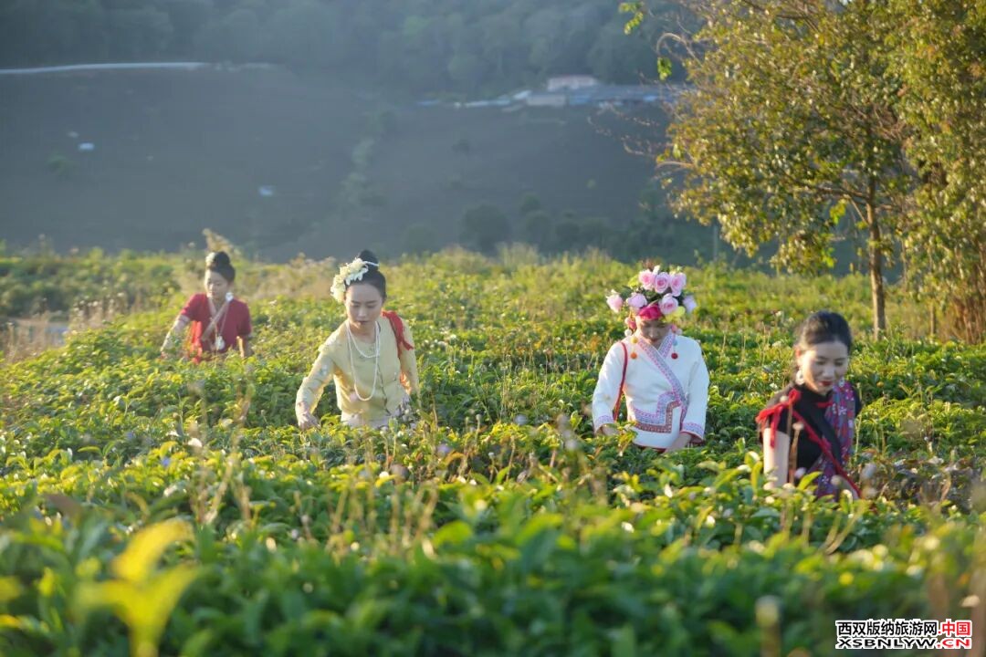 图片关键词 图片关键词
