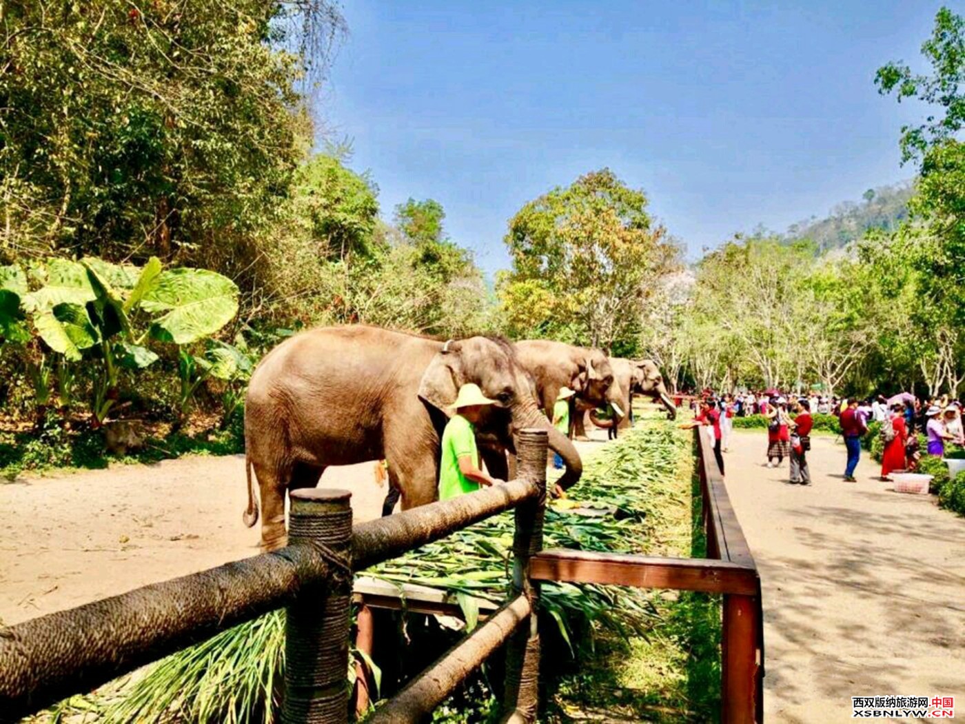 图片关键词 图片关键词