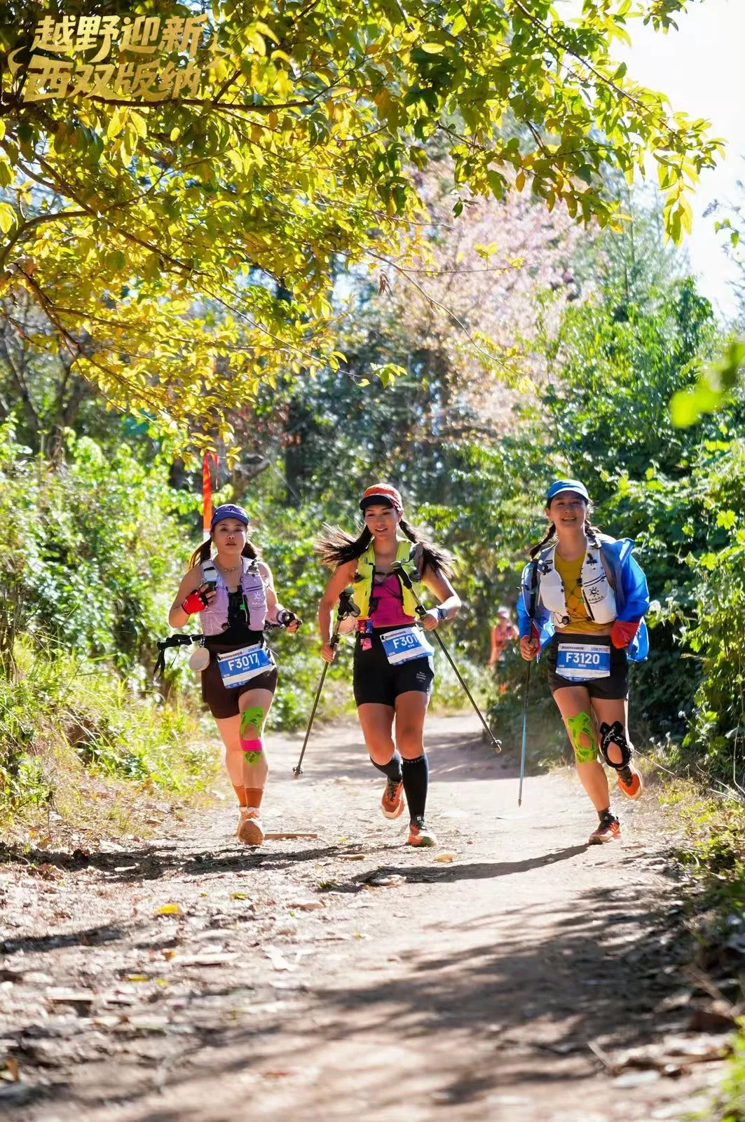 图片关键词 图片